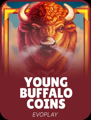 Young Buffalo Coins