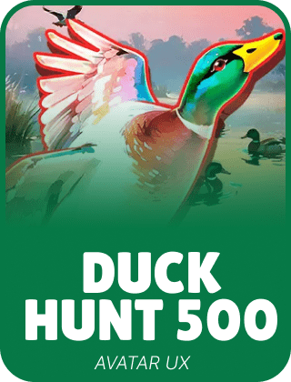 Duck Hunt 500