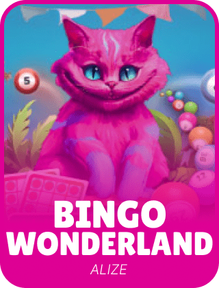 Bingo Wonderland