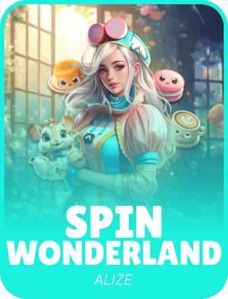 Spin Wonderland