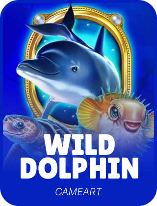 Wild Dolphin