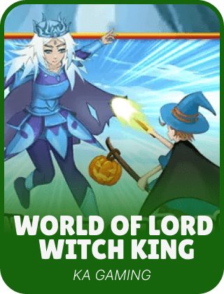 World of Lord Witch King