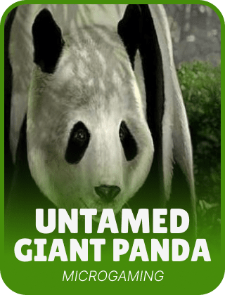Untamed - Giant Panda