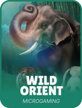 Wild Orient