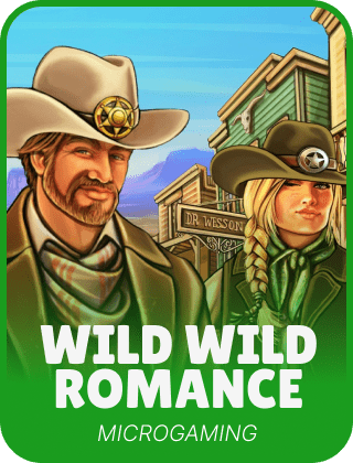 Wild Wild Romance