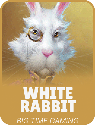 White Rabbit