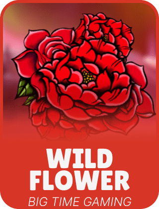 Wild Flower