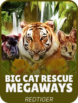 Big Cat Rescue Megaways