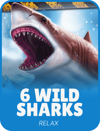 6 Wild Sharks