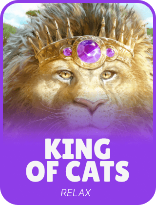 King of Cats